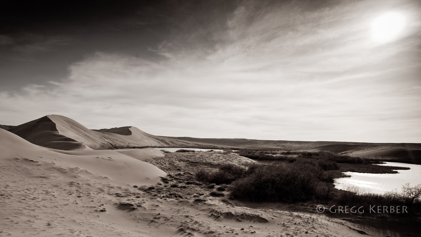 Bruneau Dunes